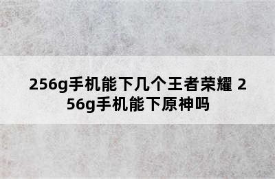 256g手机能下几个王者荣耀 256g手机能下原神吗